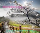 ֹ,󷨵ӹףʦ(22)