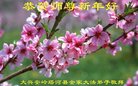 法轮功,内蒙古大法弟子恭祝师尊新年好(33条)