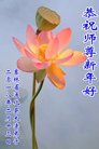 ֹ,ʡ󷨵ӹףʦ(24)