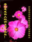 ֹ,ӱ󷨵ӹףʦ(22)