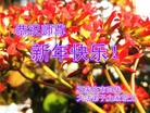 ֹ,ʯׯ󷨵ӹףʦ(22)