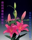 ֹ,󷨵ӹףʦ(25)