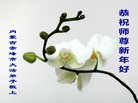 法轮功,内蒙古大法弟子恭祝师尊新年好(25条)