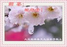 ֹ,󷨵ӹףʦ(18)