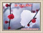 法轮功,黑龙江大法弟子恭祝师尊新年好(18条)