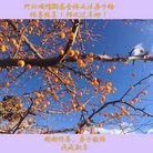 ֹ,ӱ󷨵ӹףʦ(29)
