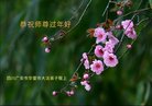 ֹ,Ĵ󷨵ӹףʦ(25)