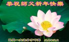 ֹ,ϴ󷨵ӹףʦ(19)