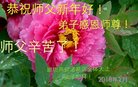 ֹ,ȷ󷨵ӹףʦ(27)