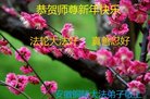 ֹ,մ󷨵ӹףʦ(26)