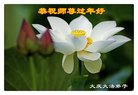 法轮功,黑龙江大法弟子恭祝师尊新年好(18条)