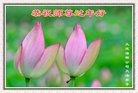 ֹ,󷨵ӹףʦ(18)