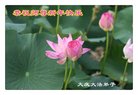 ֹ,󷨵ӹףʦ(18)
