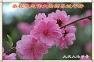 ֹ,󷨵ӹףʦ(18)