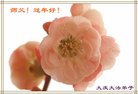 ֹ,󷨵ӹףʦ(20)