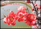 ֹ,󷨵ӹףʦ(20)