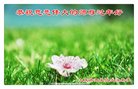 ֹ,󷨵ӹףʦ(20)