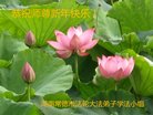 ֹ,ϴ󷨵ӹףʦ(26)