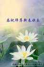 ֹ,󷨵ӹףʦ(24)