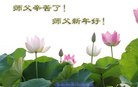 法轮功,重庆大法弟子恭祝师尊新年好(24条)