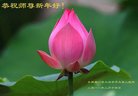 ֹ,󷨵ӹףʦ(28)