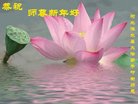 ֹ,󷨵ӹףʦ(28)