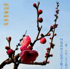 法轮功,河南大法弟子恭祝师尊新年好(26条)