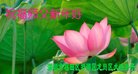 ֹ,㶫󷨵ӹףʦ(27)