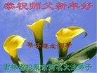 ֹ,ʡ󷨵ӹףʦ(26)