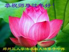 法轮功,郑州大法弟子恭祝师尊新年好(26条)