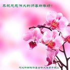 ֹ,ӱ󷨵ӹףʦ(25)
