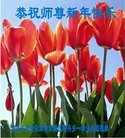 ֹ,󷨵ӹףʦ(23)