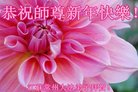 ֹ,մ󷨵ӹףʦ(24)