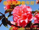 ֹ,մ󷨵ӹףʦ(24)