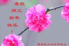 ֹ,ɶ󷨵ӹףʦ(25)