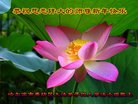 ֹ,󷨵ӹףʦ(27)