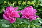 ֹ,󷨵ӹףʦ(27)