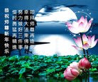 ֹ,ʡ󷨵ӹףʦ(27)