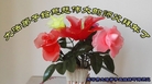 ֹ,󷨵ӹףʦ(24)