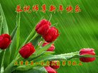 ֹ,󷨵ӹףʦ(24)
