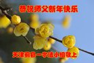 ֹ,󷨵ӹףʦ(24)