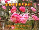 法轮功,江西大法弟子恭祝师尊新年好(28条) 【明慧网】