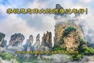 法轮功,大连大法弟子恭祝师尊新年好(25条)