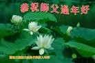 ֹ,ϴ󷨵ӹףʦ(19)