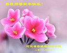 ֹ,żҿڴ󷨵ӹףʦ(23)