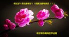 ֹ,󷨵ӹףʦ(22)