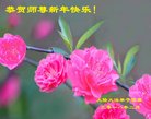 ֹ,żҿڴ󷨵ӹףʦ(23)