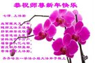 ֹ,󷨵ӹףʦ(22)