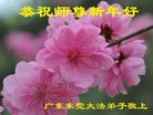 法轮功,广东大法弟子恭祝师尊新年好(25条)