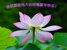 ֹ,󷨵ӹףʦ(25)